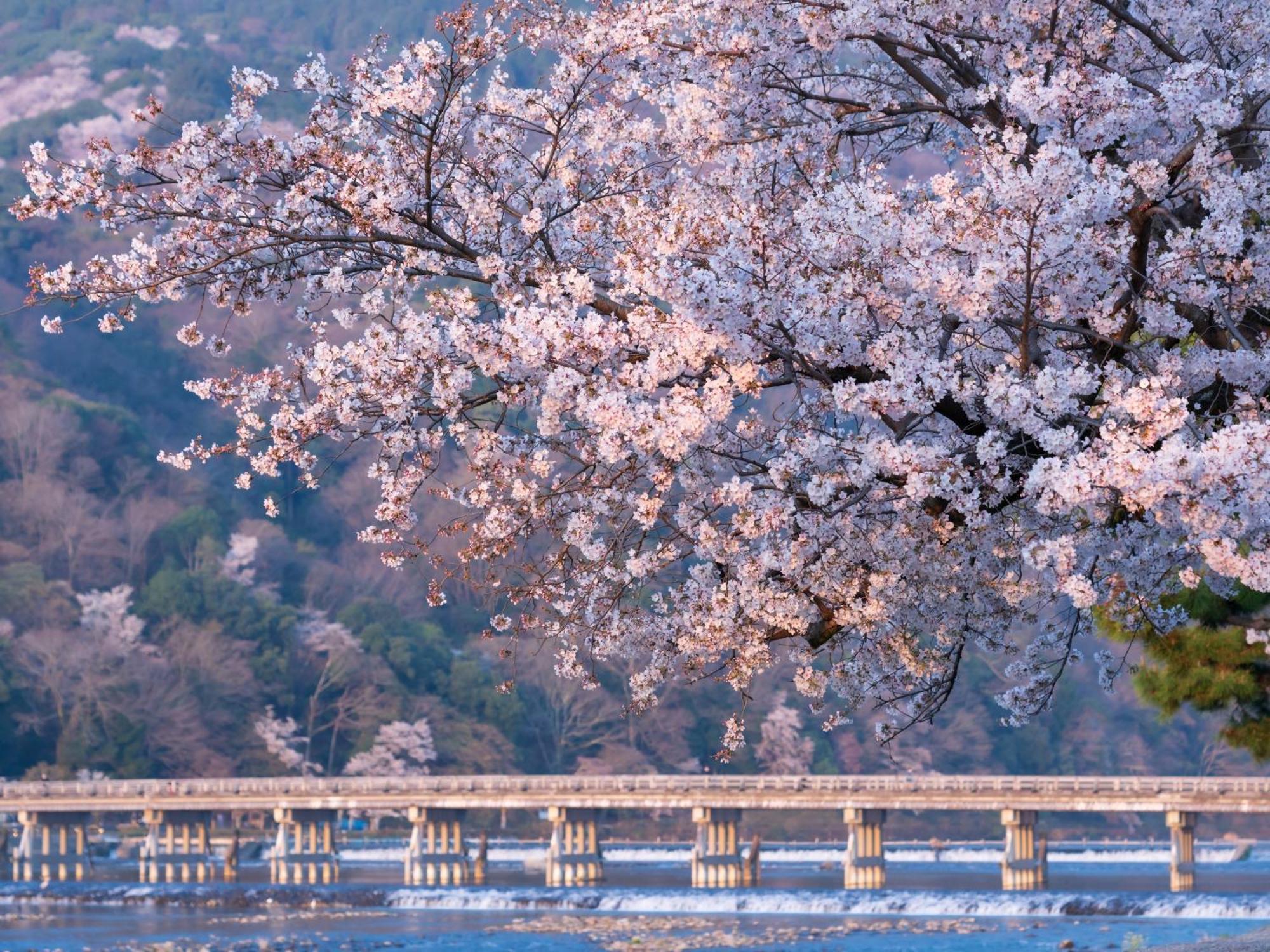 The Blossom Kyōto Esterno foto