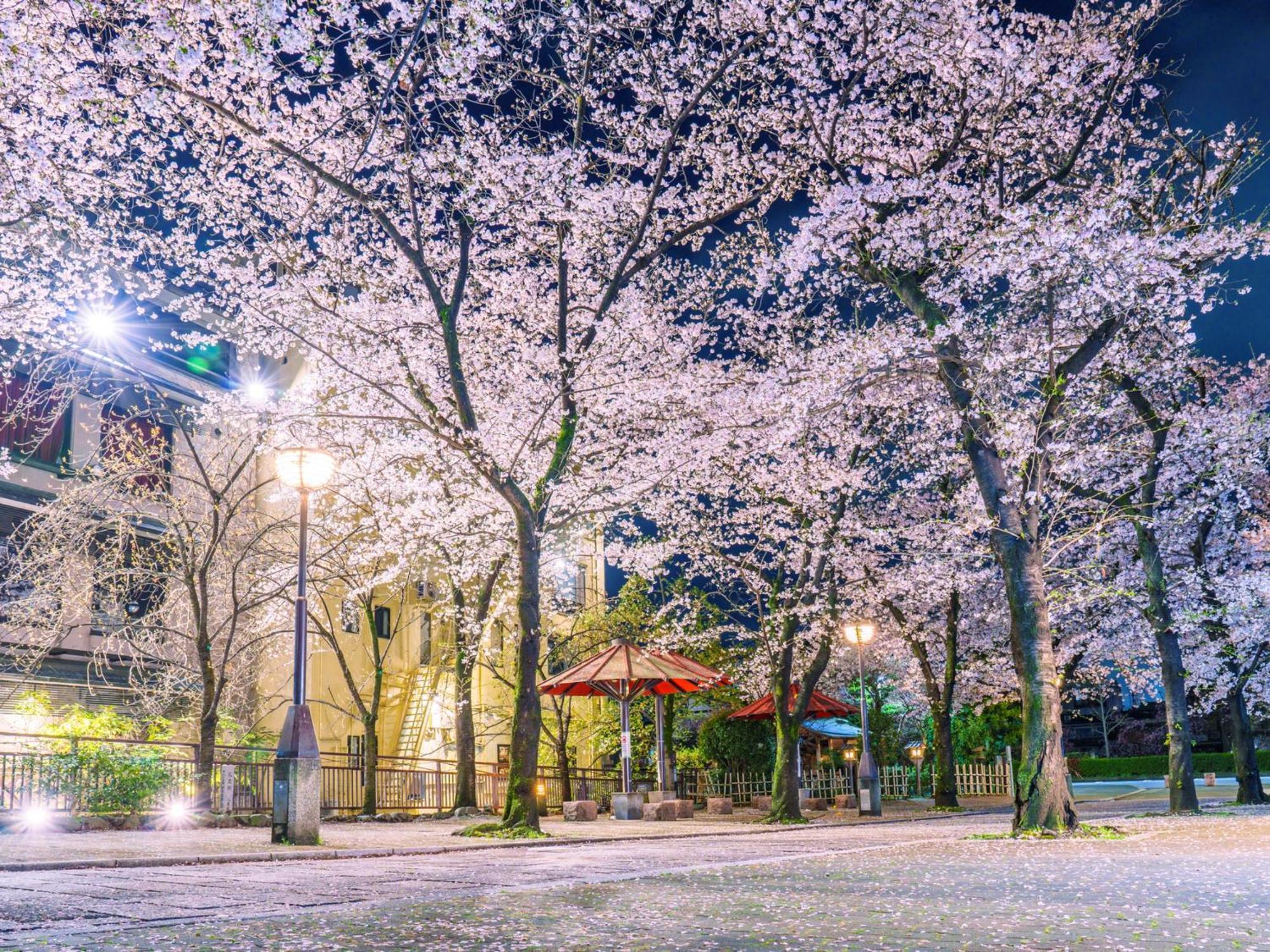 The Blossom Kyōto Esterno foto